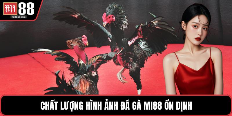 Chất lượng hình ảnh đá gà MI88 ổn định