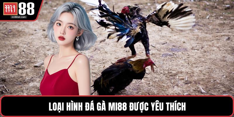 Loại hình đá gà MI88 được yêu thích