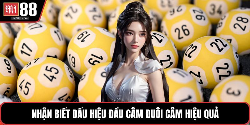 Nhận biết dấu hiệu đầu câm đuôi câm hiệu quả